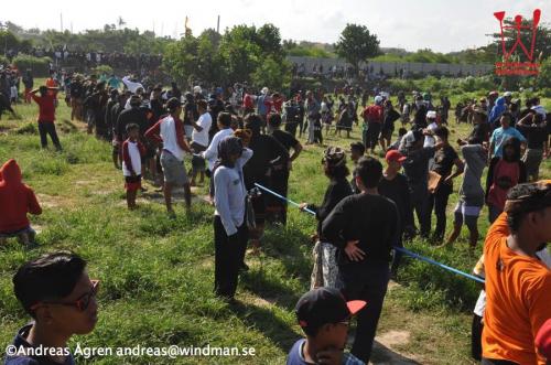 36 DSC 0541-s (copy)