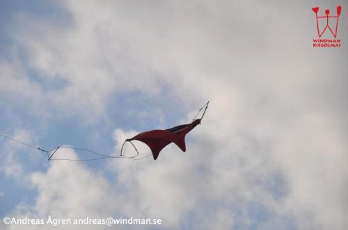 40 DSC 0640-s (copy)